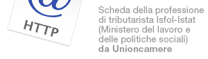Scheda della professione di tributarista Isfol-Istat (Ministero del lavoro e delle politiche sociali)